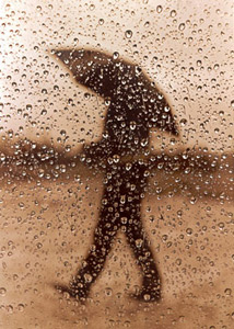Photo of reflected raindrops in Paradise, CA
